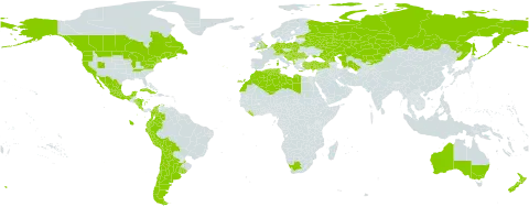 Borago officinalis world distribution map, present in Albania, Andorra, Argentina, Australia, Austria, Bosnia and Herzegovina, Belarus, Bolivia (Plurinational State of), Canada, Switzerland, Chile, Colombia, Costa Rica, Cuba, Cyprus, Germany, Algeria, Ecuador, Spain, Estonia, France, United Kingdom of Great Britain and Northern Ireland, Georgia, Gibraltar, Greece, Honduras, Croatia, Hungary, Italy, Kazakhstan, Kyrgyzstan, Lebanon, Liberia, Libya, Liechtenstein, Morocco, Mexico, Malta, Montenegro, Nicaragua, Netherlands, New Zealand, Peru, Poland, Puerto Rico, Portugal, Romania, Russian Federation, Serbia, Slovakia, Slovenia, Turkmenistan, Tunisia, Turkey, Ukraine, Uruguay, United States of America, and South Africa