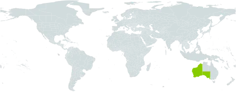Boronia cymosa world distribution map, present in Australia