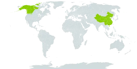 Boschniakia rossica world distribution map, present in Canada, China, and United States of America