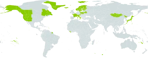 Botrychium lanceolatum subsp. lanceolatum world distribution map, present in Austria, Belarus, Canada, Switzerland, China, Estonia, Finland, France, Greenland, Iceland, Italy, Japan, Liberia, Mongolia, Norway, Poland, Sweden, and United States of America