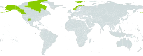 Botrychium tunux world distribution map, present in Canada, Norway, and United States of America