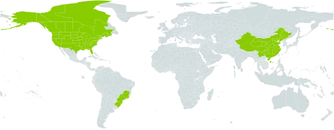 Botrychium virginianum world distribution map, present in Brazil, Canada, China, and United States of America
