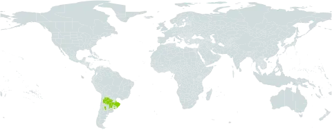 Bouchetia anomala world distribution map, present in Argentina, Brazil, Paraguay, and Uruguay
