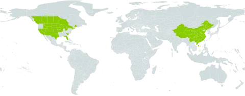 Bouteloua gracilis world distribution map, present in Canada, China, and United States of America