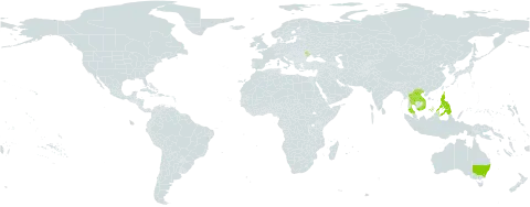 Brachypeza world distribution map, present in Andorra, Australia, Lao People's Democratic Republic, Moldova (Republic of), Philippines, Thailand, and Viet Nam