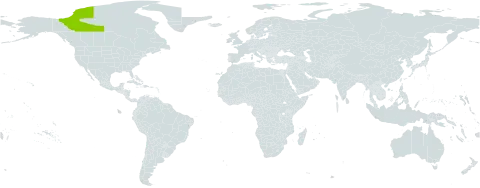 Braya pilosa world distribution map, present in Canada