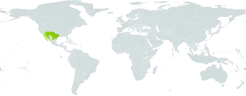 Brickellia coulteri world distribution map, present in Mexico and United States of America