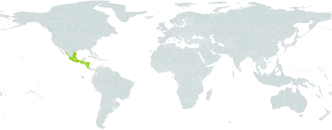 Brickellia paniculata world distribution map, present in Costa Rica, Guatemala, Honduras, Mexico, and Nicaragua