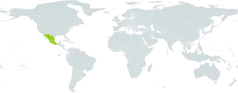 Brickellia subuligera world distribution map, present in Mexico