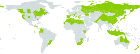 Briza maxima world distribution map, present in Albania, Australia, Austria, Bulgaria, Bermuda, Brazil, Canada, China, Colombia, Cyprus, Czech Republic, Algeria, Ecuador, Egypt, Spain, France, Micronesia (Federated States of), Georgia, Greece, Guatemala, Honduras, Indonesia, Italy, Jamaica, Japan, Kenya, Libya, Morocco, Mauritius, Malaysia, Norfolk Island, New Zealand, Pakistan, Palau, Portugal, Réunion, Russian Federation, Turks and Caicos Islands, Tunisia, Uruguay, United States of America, South Africa, and Zimbabwe