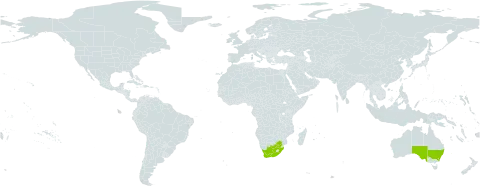 Briza subaristata world distribution map, present in Australia and South Africa