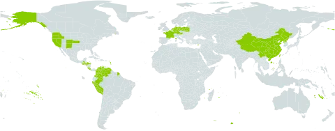 Bromus carinatus world distribution map, present in Austria, China, Colombia, Costa Rica, Cyprus, Germany, France, Guatemala, Honduras, Netherlands, Peru, Poland, Korea (Democratic People's Republic of), Taiwan, Province of China, United States of America, and Venezuela (Bolivarian Republic of)
