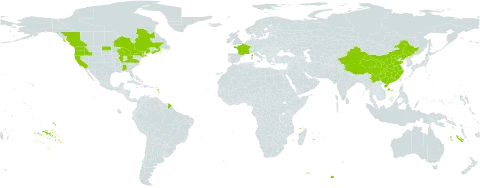 Bromus erectus world distribution map, present in Canada, China, France, and United States of America