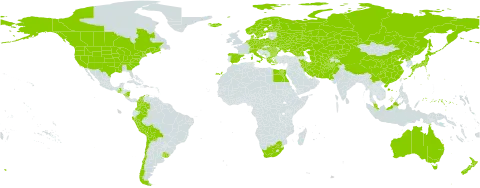 Bromus inermis world distribution map, present in Afghanistan, Åland Islands, Australia, Austria, Bulgaria, Belarus, Bolivia (Plurinational State of), Canada, Switzerland, Chile, China, Colombia, Czech Republic, Germany, Denmark, Egypt, Spain, Finland, France, Micronesia (Federated States of), Georgia, Greece, Guatemala, Hungary, Iran (Islamic Republic of), Iceland, Italy, Japan, Kazakhstan, Kyrgyzstan, Montenegro, Malaysia, Nicaragua, Netherlands, Norway, New Zealand, Pakistan, Peru, Poland, Korea (Democratic People's Republic of), Romania, Russian Federation, Sweden, Turks and Caicos Islands, Turkmenistan, Ukraine, Uruguay, United States of America, Uzbekistan, and South Africa