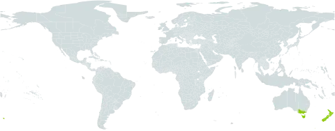 Bromus lithobius world distribution map, present in Australia and New Zealand