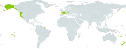 Bromus sitchensis world distribution map, present in Austria, France, New Zealand, and United States of America