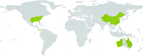 Broussonetia l'hér. ex world distribution map, present in Australia, China, Panama, and United States of America