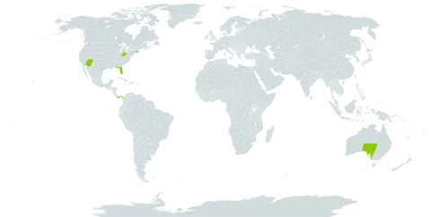 Browallia world distribution map, present in Australia, Panama, and United States of America
