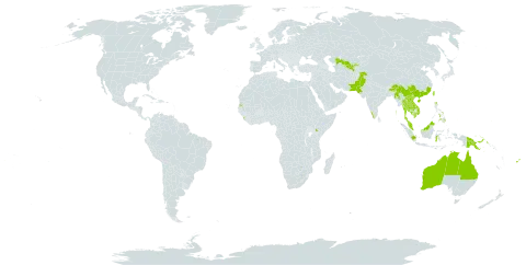 Brucea javanica world distribution map, present in Australia, Brunei Darussalam, China, Fiji, Micronesia (Federated States of), Indonesia, India, Kenya, Cambodia, Lao People's Democratic Republic, Sri Lanka, Myanmar, Malaysia, Nepal, Pakistan, Philippines, Palau, Papua New Guinea, Singapore, Seychelles, Thailand, Taiwan, Province of China, United States of America, Uzbekistan, and Viet Nam