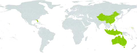Bruguiera world distribution map, present in Australia, China, Indonesia, Marshall Islands, Malaysia, United States of America, and Samoa