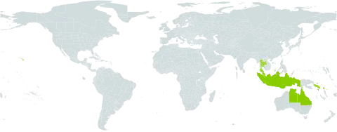 Bruguiera parviflora world distribution map, present in Australia, Indonesia, Malaysia, Solomon Islands, Thailand, and United States of America