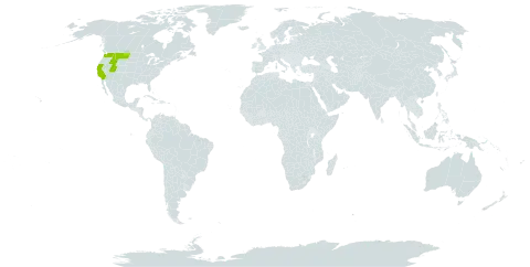 Bryonia world distribution map, present in United States of America