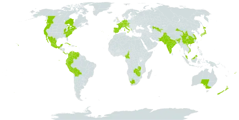 Buddleja davidii world distribution map, present in Albania, Australia, Austria, Belgium, Bolivia (Plurinational State of), Bhutan, Canada, Switzerland, China, Cameroon, Colombia, Costa Rica, Cuba, Czech Republic, Germany, Ecuador, Spain, Fiji, France, United Kingdom of Great Britain and Northern Ireland, Croatia, India, Iceland, Italy, Japan, Liechtenstein, Luxembourg, Mexico, Malaysia, Netherlands, New Zealand, Pakistan, Panama, Peru, Puerto Rico, Portugal, El Salvador, Slovenia, Trinidad and Tobago, United States of America, Uzbekistan, Venezuela (Bolivarian Republic of), Viet Nam, South Africa, Zambia, and Zimbabwe