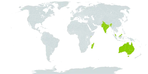 Cadaba world distribution map, present in Australia, India, Madagascar, Malaysia, and Somalia