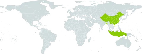 Calamus guruba world distribution map, present in Bangladesh, China, and Indonesia
