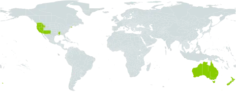 Calandrinia world distribution map, present in Australia, New Zealand, and United States of America