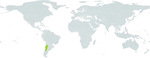 Calceolaria filicaulis subsp. luxurians world distribution map, present in Argentina and Chile