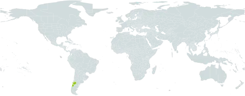 Calceolaria integrifolia world distribution map, present in Argentina and Chile