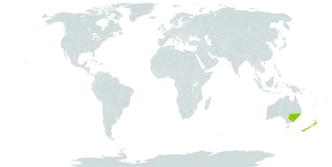 Caleana world distribution map, present in Australia and New Zealand