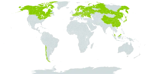 Calla palustris world distribution map, present in Austria, Belarus, Canada, Switzerland, Chile, China, Czech Republic, Germany, Denmark, Finland, France, Micronesia (Federated States of), Japan, Malaysia, Netherlands, Norway, Poland, Korea (Democratic People's Republic of), Romania, Russian Federation, Sweden, Turks and Caicos Islands, Ukraine, and United States of America