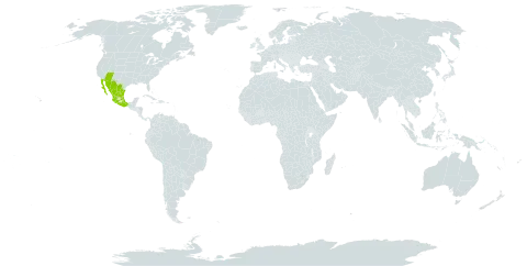 Callaeum macropterum world distribution map, present in Mexico and United States of America