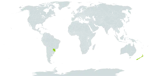 Callianthe darwinii world distribution map, present in Brazil and New Zealand