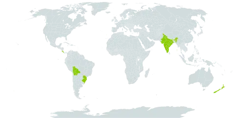 Callianthe megapotamica world distribution map, present in Bolivia (Plurinational State of), Brazil, Costa Rica, India, New Zealand, and Portugal