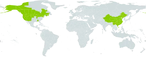 Callitriche hermaphroditica world distribution map, present in Canada, China, and United States of America