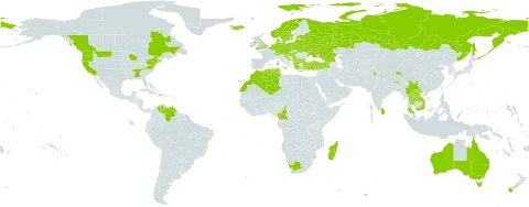 Callitriche stagnalis world distribution map, present in Albania, Australia, Austria, Belgium, Bulgaria, Belarus, Bhutan, Canada, Switzerland, China, Cameroon, Czech Republic, Germany, Denmark, Algeria, Spain, Estonia, France, United Kingdom of Great Britain and Northern Ireland, Georgia, Greece, Croatia, Hungary, India, Iceland, Italy, Lao People's Democratic Republic, Sri Lanka, Lithuania, Luxembourg, Latvia, Morocco, Madagascar, North Macedonia, Malta, Myanmar, Montenegro, Netherlands, Norway, New Zealand, Poland, Portugal, Russian Federation, Saint Pierre and Miquelon, Serbia, Slovenia, Sweden, Thailand, Tunisia, Turkey, Ukraine, United States of America, Venezuela (Bolivarian Republic of), Viet Nam, and South Africa