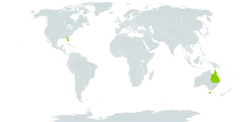 Callitris columellaris world distribution map, present in Australia and United States of America