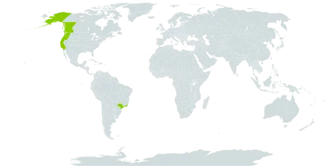 Callitropsis nootkatensis world distribution map, present in Brazil, Canada, and United States of America