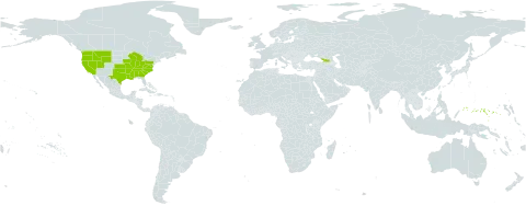 Camassia world distribution map, present in Åland Islands, Micronesia (Federated States of), Georgia, and United States of America