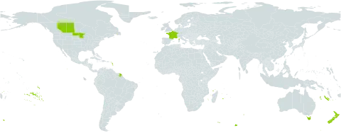 Camelina alyssum world distribution map, present in Australia, Canada, France, New Zealand, and United States of America