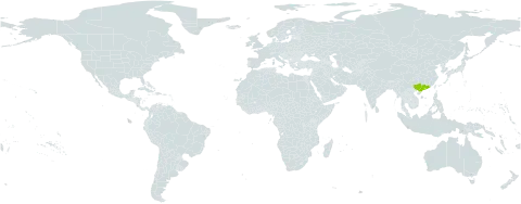 Camellia furfuracea var. latipetiolata world distribution map, present in China