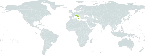 Campanula tanfanii world distribution map, present in Italy