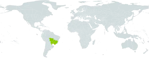 Campomanesia adamantium world distribution map, present in Brazil and Paraguay