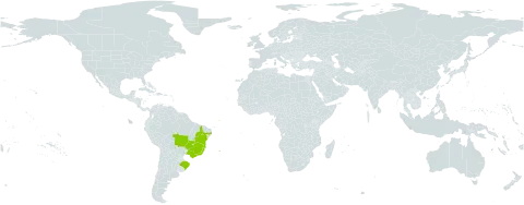 Campylopus arctocarpus world distribution map, present in Brazil