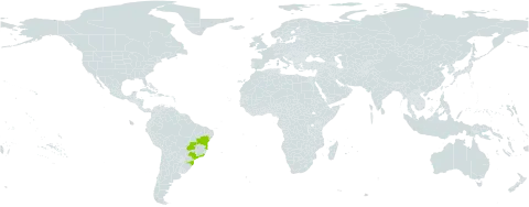Campylopus uleanus world distribution map, present in Brazil