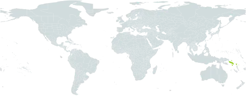 Canarium liguliferum world distribution map, present in Papua New Guinea and Solomon Islands