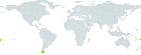 Canarium vanikoroense world distribution map, present in Argentina, Fiji, Vanuatu, and Wallis and Futuna